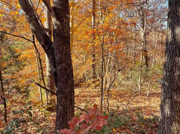 19 Chickasaw Pl, Palmyra, VA 22963