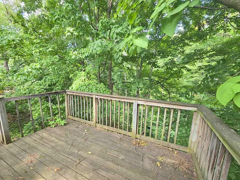 428 La Rosh Street Ct — Photo 8