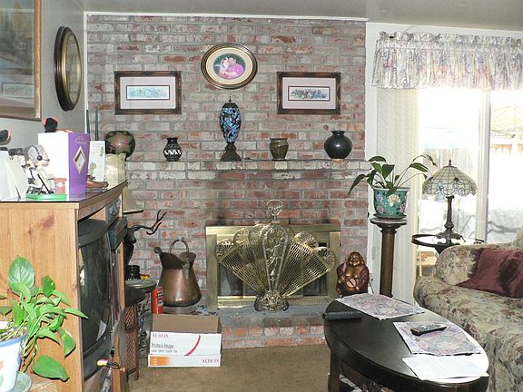 Wood Burning Fireplace