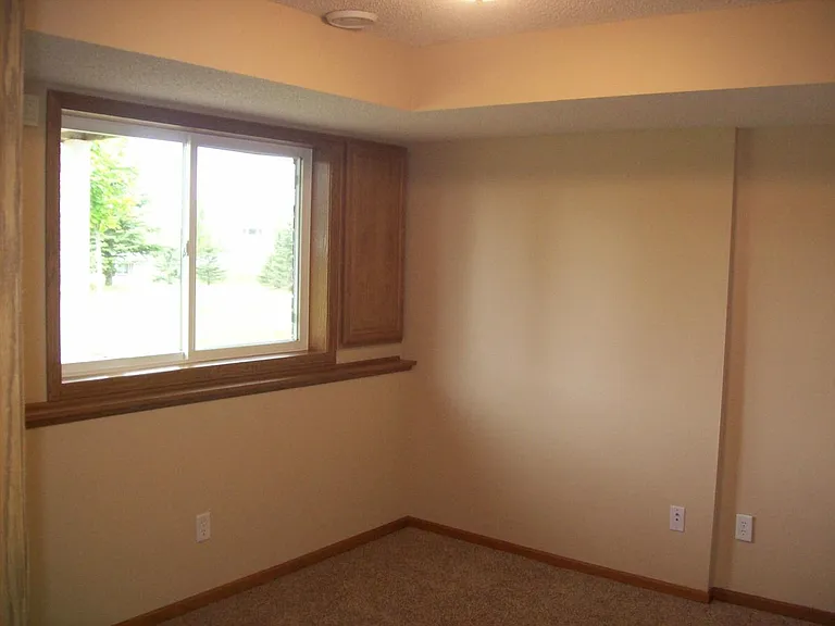 Lower level 3rd bedroom