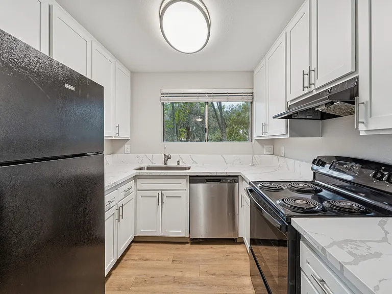 ReNew Alpine — Photo 8
