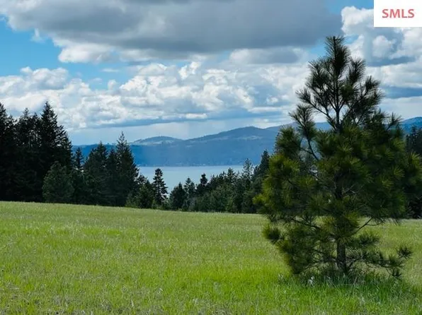 Nka Badger Dr, Harrison, ID 83833