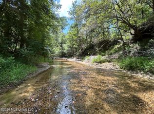 1 Dummyline Rd NE, Mc Call Creek, MS 39647