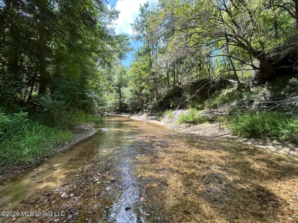 1 Dummyline Rd NE, Mc Call Creek, MS 39647