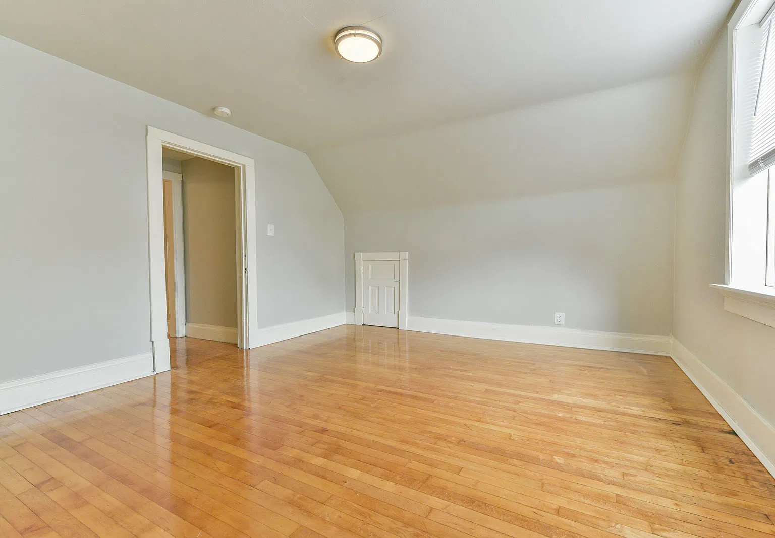 2 bed, 800 sqft, $1,285 — Photo 4