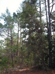 13 Chrysler Ave, Pt Washington, FL, 32459