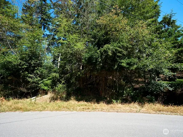 2 & 3 LOT Sycamore Road, Coupeville, WA 98239