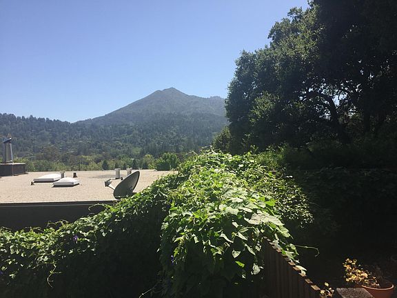 Stunning views of Mount Tam!