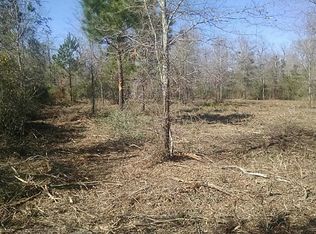 21081 Angus Dr, Cleveland, TX 77328