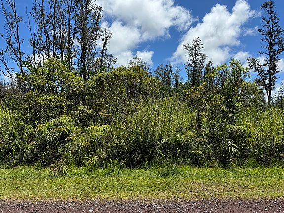 2nd image of Plumeria Dr Lot 65
