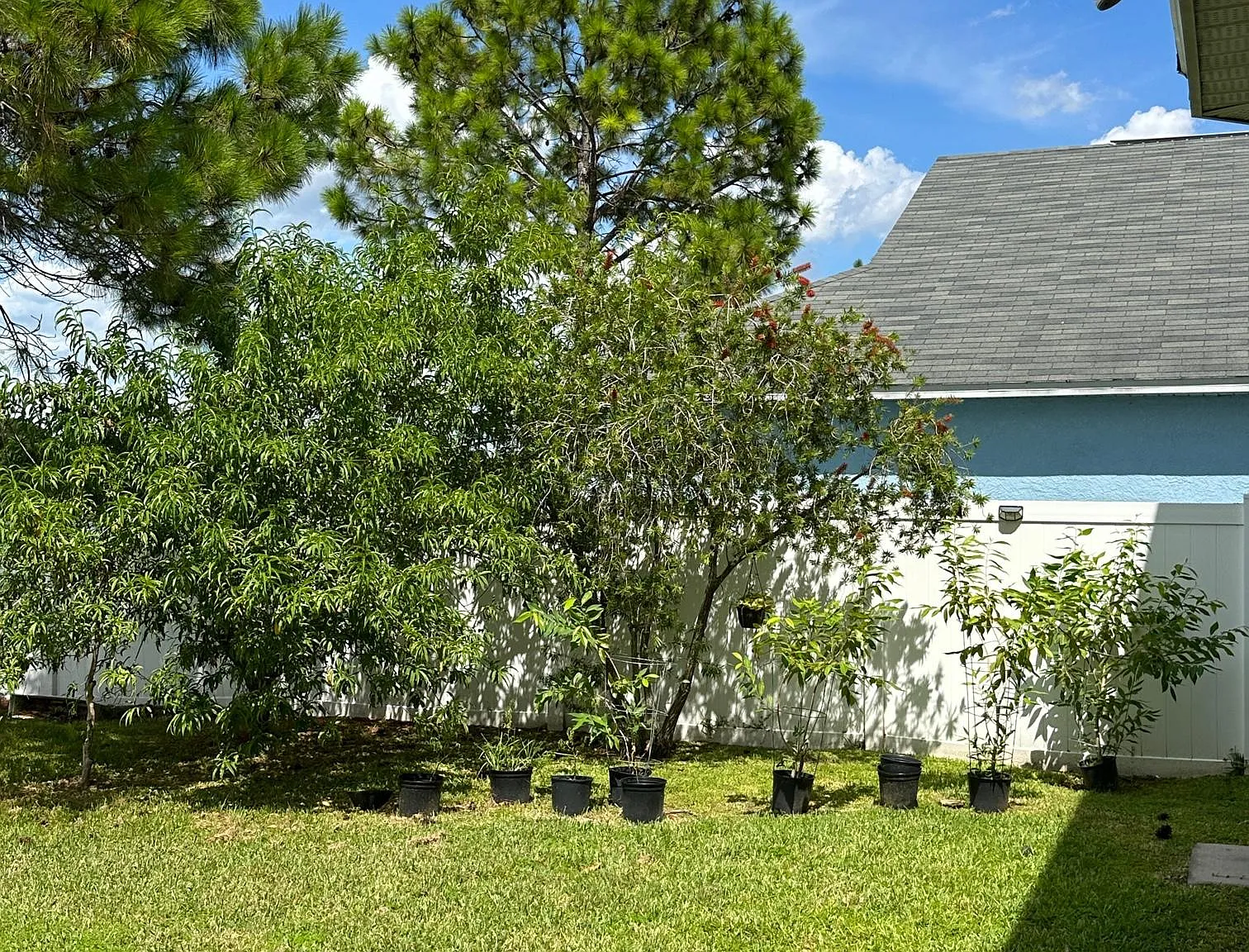 8417 Canterbury Lake Blvd — Photo 4