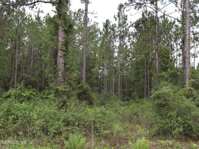 411 REDWOOD Boulevard, Georgetown, FL, 32139