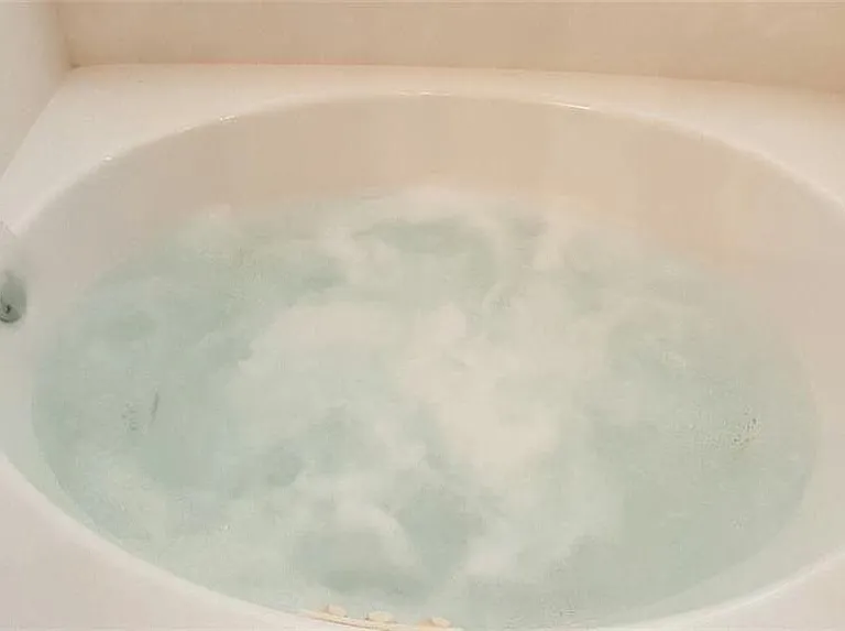 Master bath, jacuzzi tub