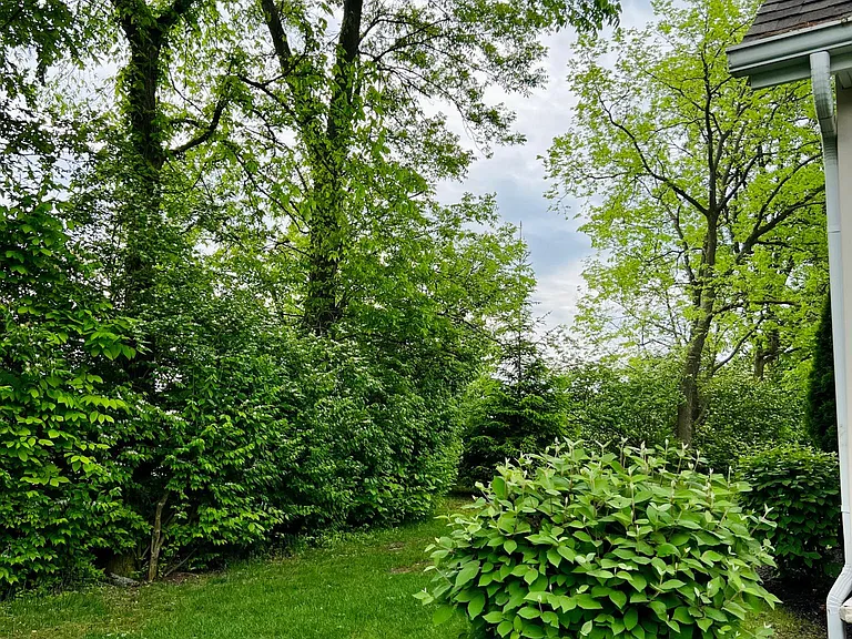 4853 Ashleigh Dr — Photo 15