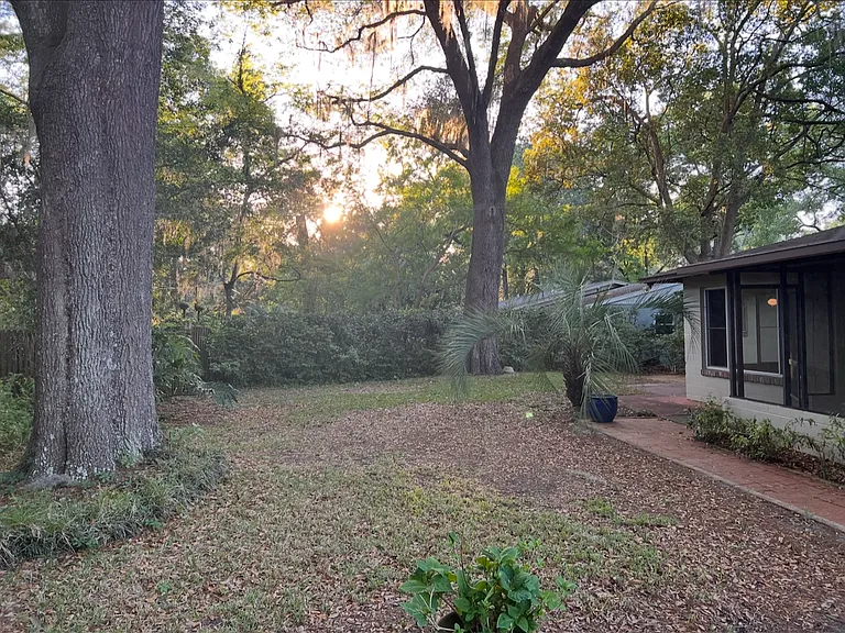 Large Backyard