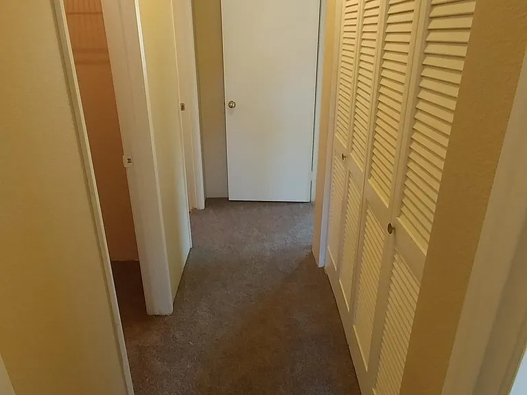 7425 Charmant Dr #2814 — Photo 18