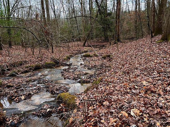 4th image of 00 Grace Dr