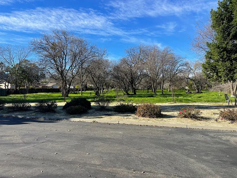 Whispering Oaks — Photo 14