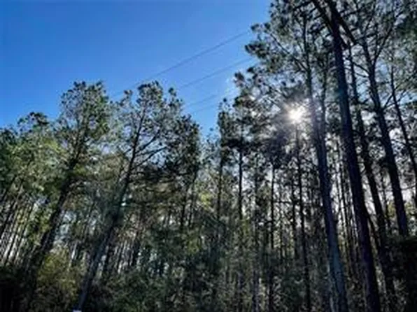 6/- County Road 3400, Colmesneil, TX 75938