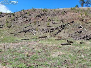 14860 Evergreen Pl, Woodland Park, CO 80863
