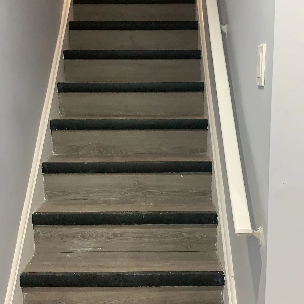1 bed, $800 — Photo 3