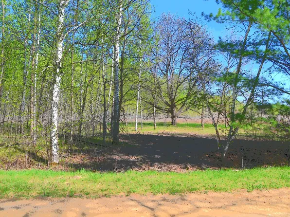 Poplar Ln, Browerville, MN 56438