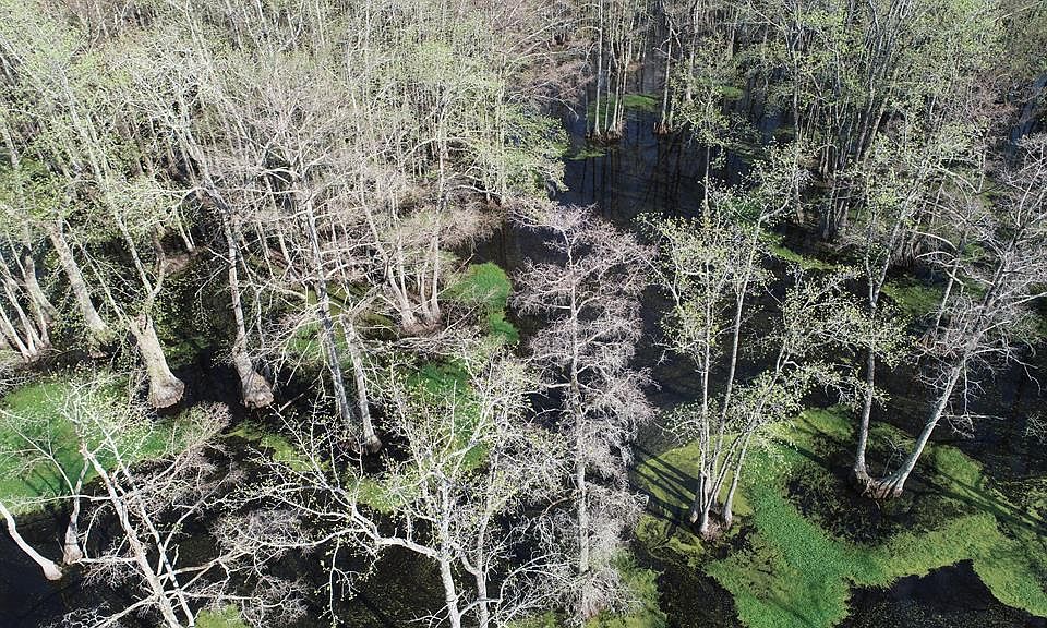 1st image of 0 County Rd #420