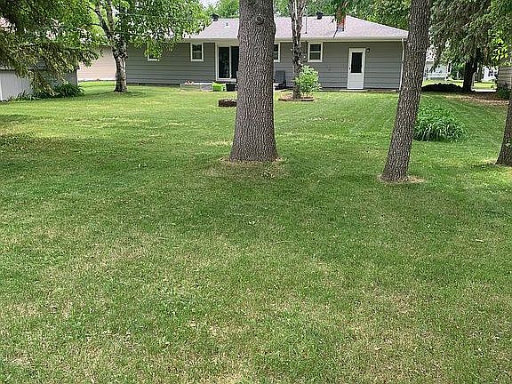 Back yard