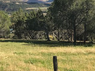 15716-58 7/10 Rd, Collbran, CO 81624