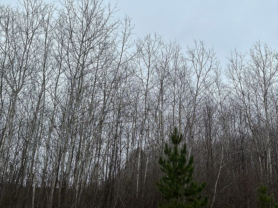 2nd image of Prairie Lake Rd #4069-13