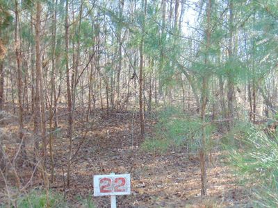 22 Parklin Ln, Elloree, SC, 29047