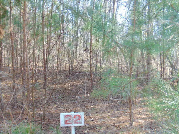 22 Parklin Ln, Elloree, SC 29047