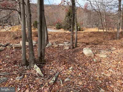 518 Parkside Ter, Berkeley Springs, WV, 25411