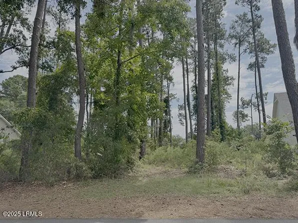 251 Locust Fence Road, SC 29920