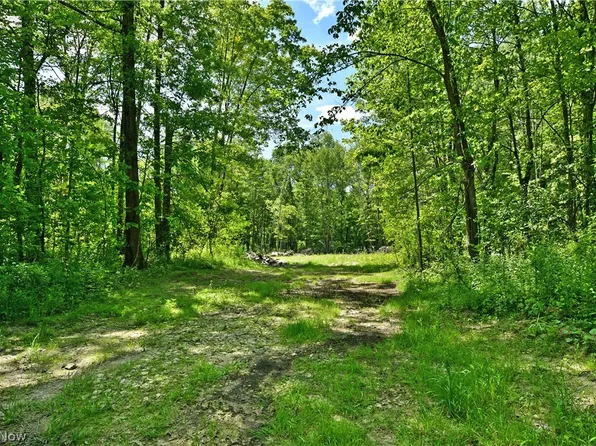 Mahan Denman Rd, Bristolville, OH 44402
