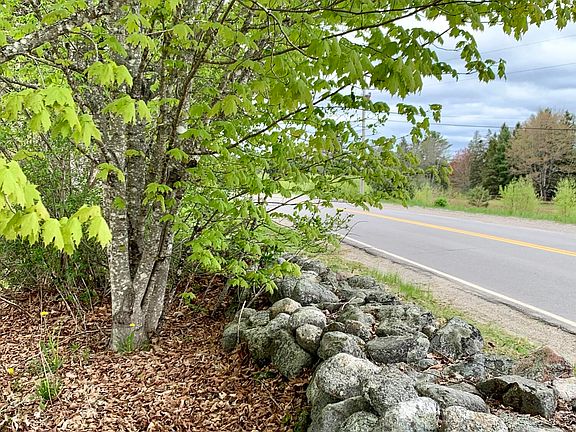 14th image of this home