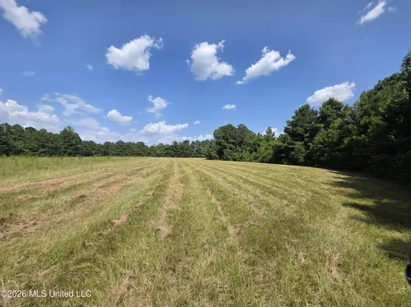 Mount Carmel Rd, Prentiss, MS 39474