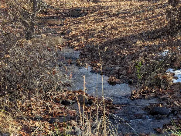 Tbd Mine Branch Rd, Crimora, VA 24431