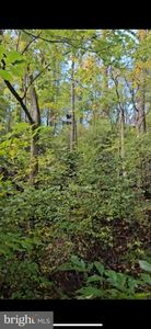 108 River Rd, Pequea, PA, 17565