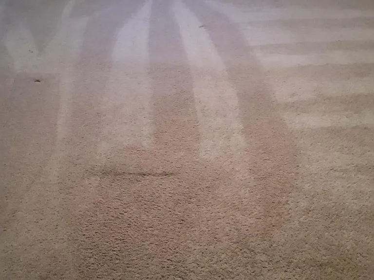 Finished lower level / 2nd bedroom