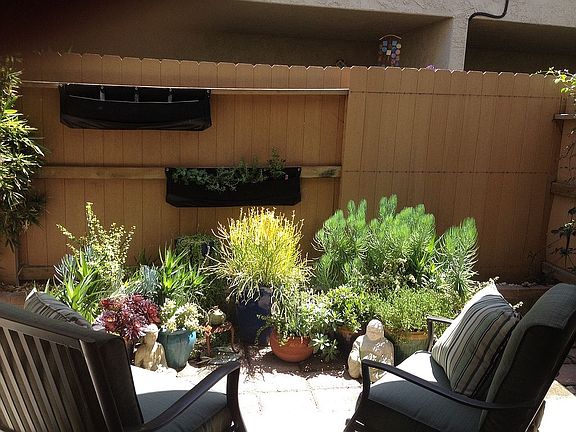 Patio/ Tenant's Landscape