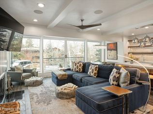 748 S Galena St #2D, Aspen, CO 81611