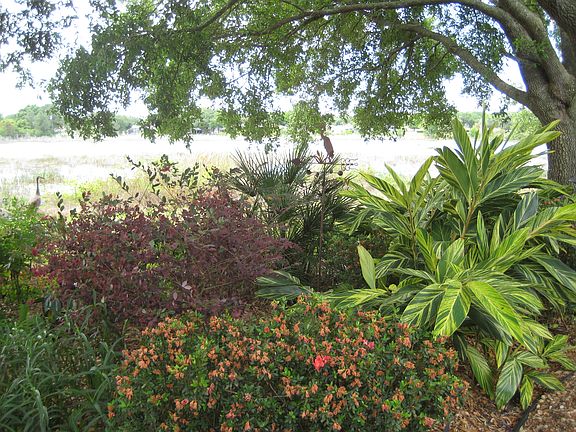 front garden and lake