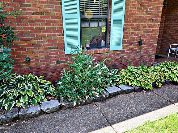 3rd image of 3325 Bonner Dr
