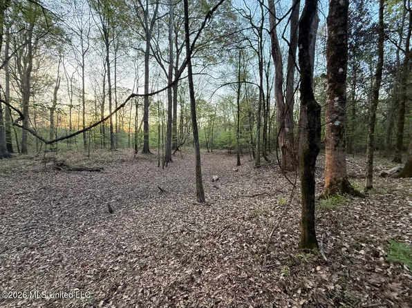 Owen Boone Rd, Brandon, MS 39042