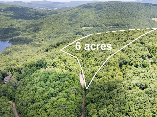 Timberland Dr Lot 25, Andes, NY 13731