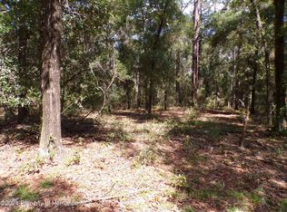 9153 N Danube Loop, Citrus Springs, FL 34434