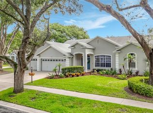 3907 Rolling Terrace Ln, Valrico, FL 33596
