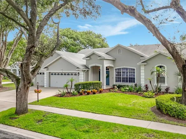 3907 ROLLING TERRACE LANE, VALRICO, FL 33596