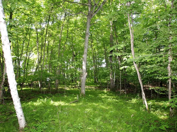 4967X Fish Lake Rd, Pelican Rapids, MN 56572